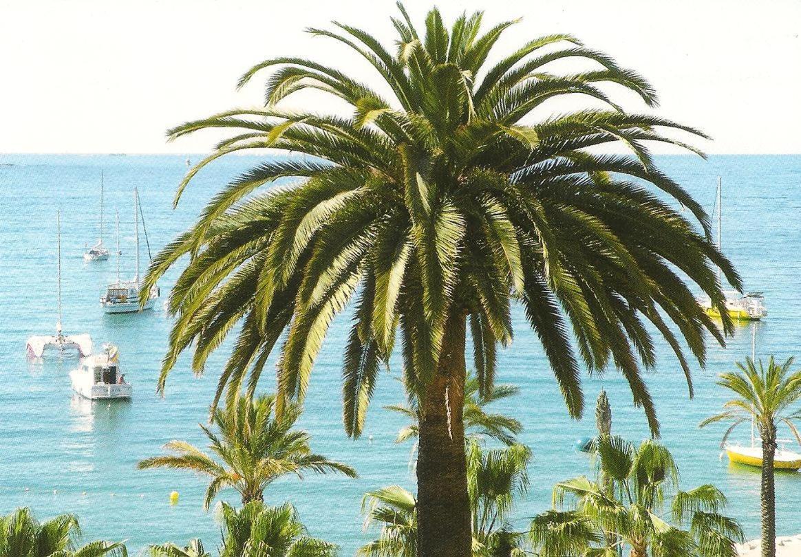 Studio Climatise. Proche Parking, Commerces Et Mer Apartamento Carqueiranne Exterior foto